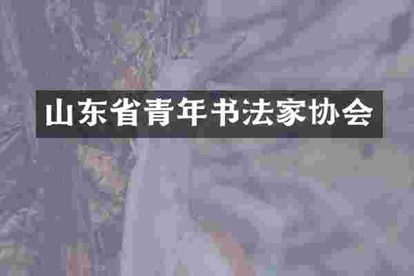 山东省青年书法家协会