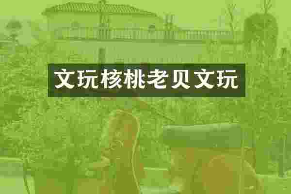 文玩核桃老贝文玩