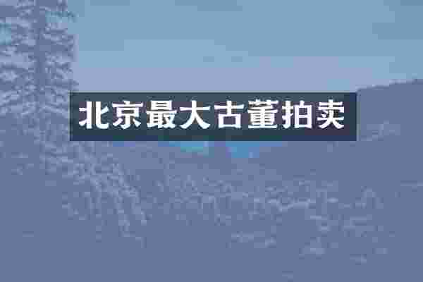 北京最大古董拍卖