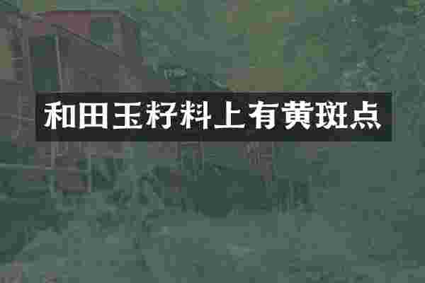 和田玉籽料上有黄斑点