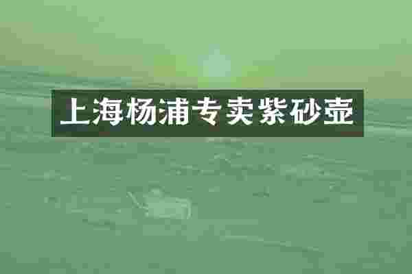 上海杨浦专卖紫砂壶