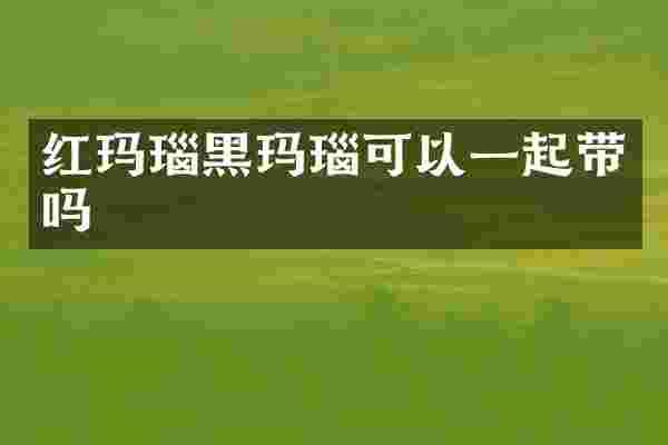 红玛瑙黑玛瑙可以一起带吗