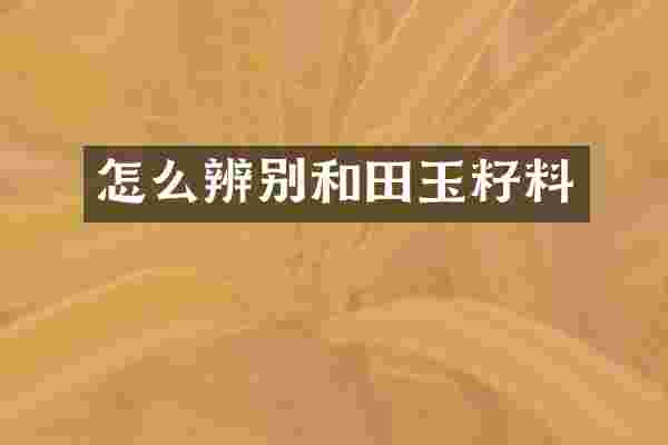 怎么辨别和田玉籽料