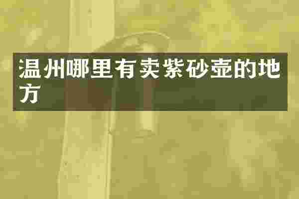 温州哪里有卖紫砂壶的地方