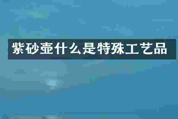 紫砂壶什么是特殊工艺品
