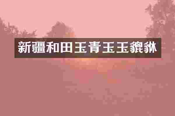 新疆和田玉青玉玉貔貅