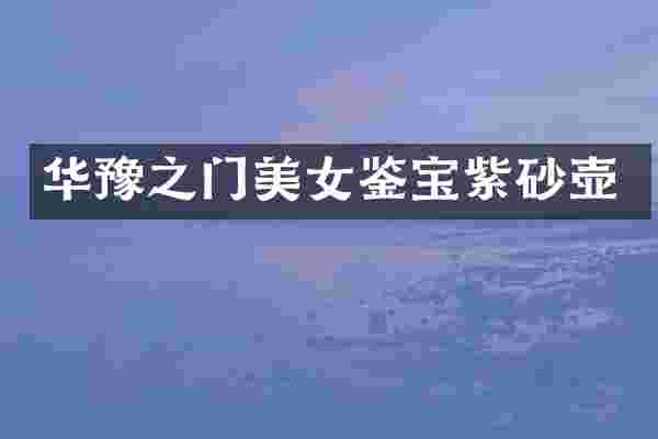 华豫之门美女鉴宝紫砂壶