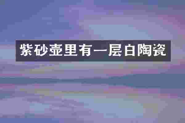 紫砂壶里有一层白陶瓷
