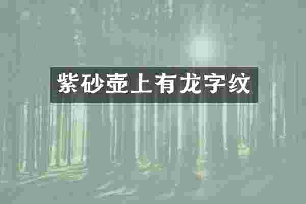 紫砂壶上有龙字纹