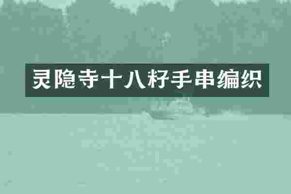 灵隐寺十八籽手串编织