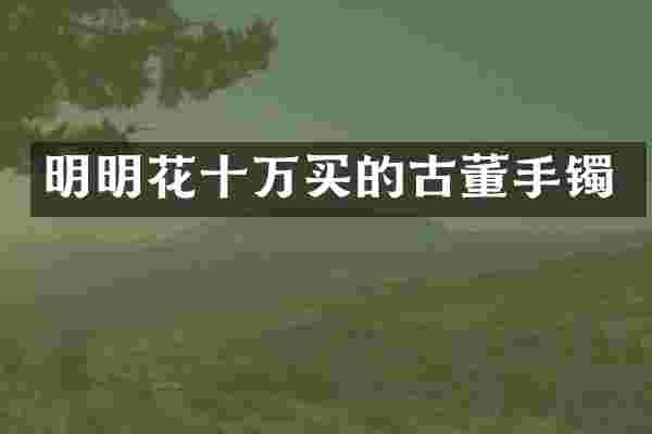 明明花十万买的古董手镯