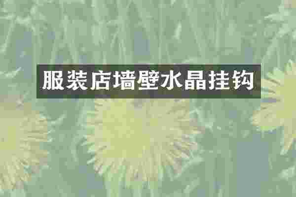 服装店墙壁水晶挂钩