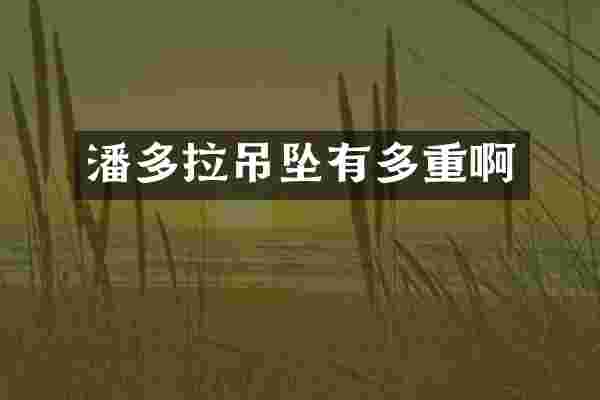 潘多拉吊坠有多重啊
