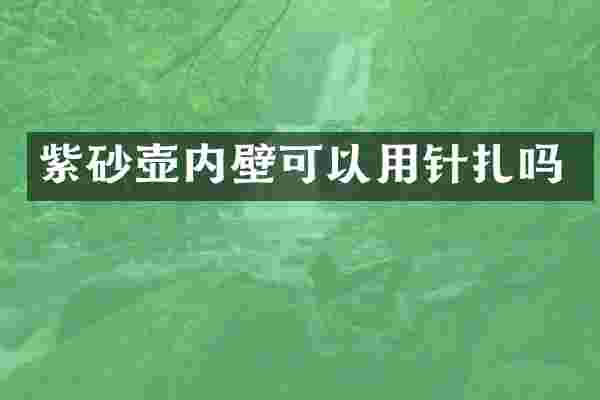 紫砂壶内壁可以用针扎吗