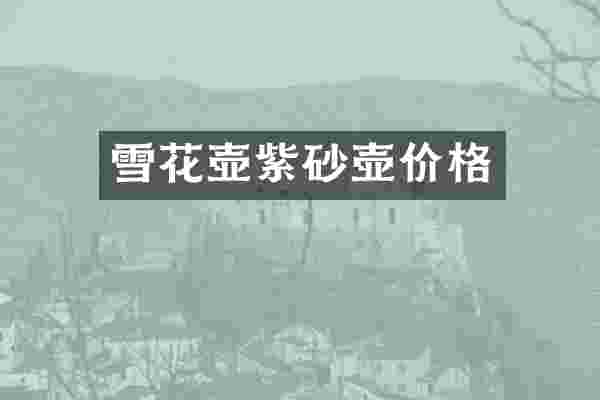 雪花壶紫砂壶价格