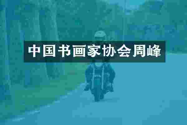 中国书画家协会周峰