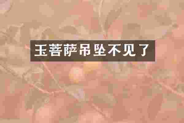 玉菩萨吊坠不见了