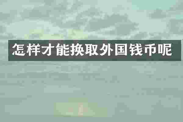 怎样才能换取外国钱币呢