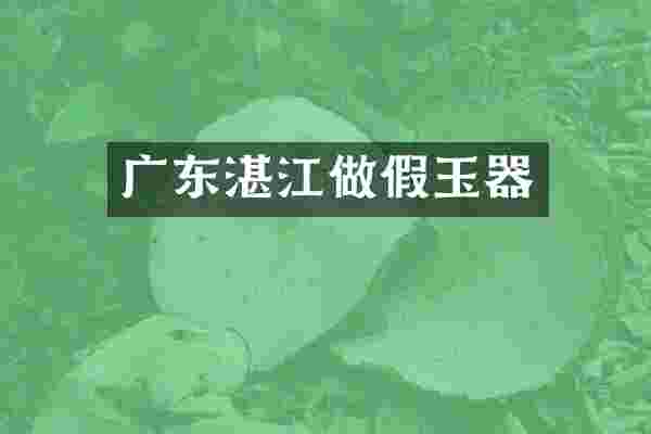 广东湛江做假玉器