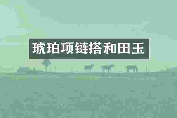 琥珀项链搭和田玉