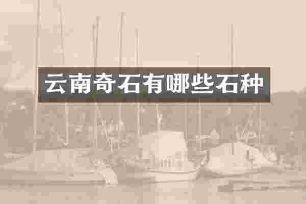云南奇石有哪些石种