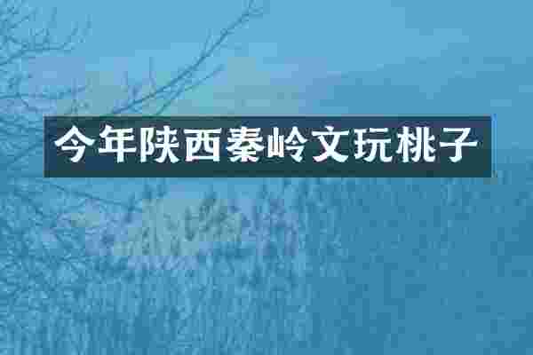 今年陕西秦岭文玩桃子