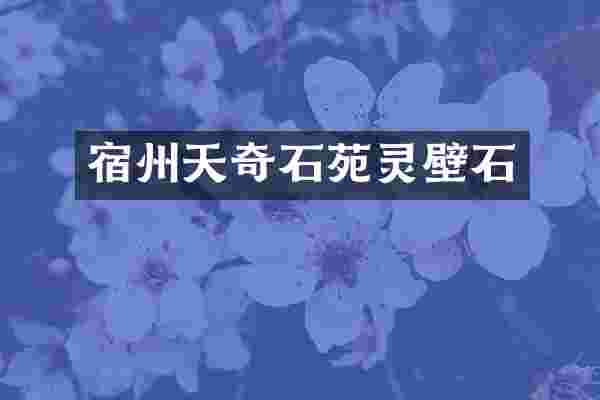 宿州天奇石苑灵壁石