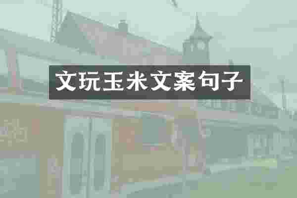 文玩玉米文案句子