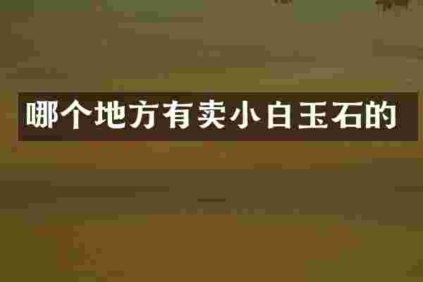 哪个地方有卖小白玉石的