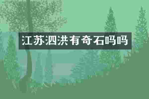 江苏泗洪有奇石吗吗