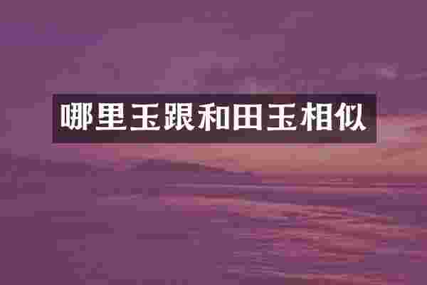 哪里玉跟和田玉相似