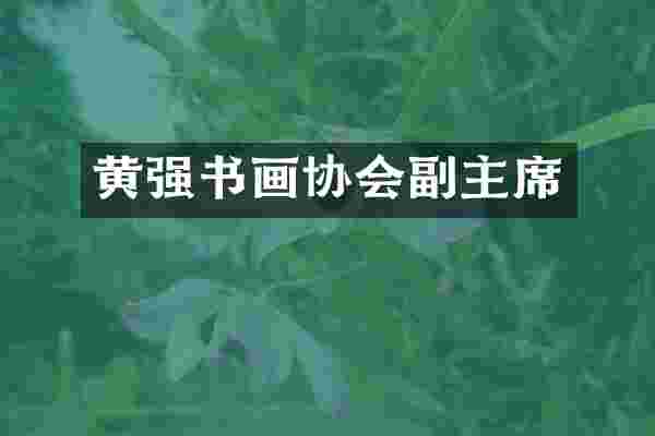 黄强书画协会副主席