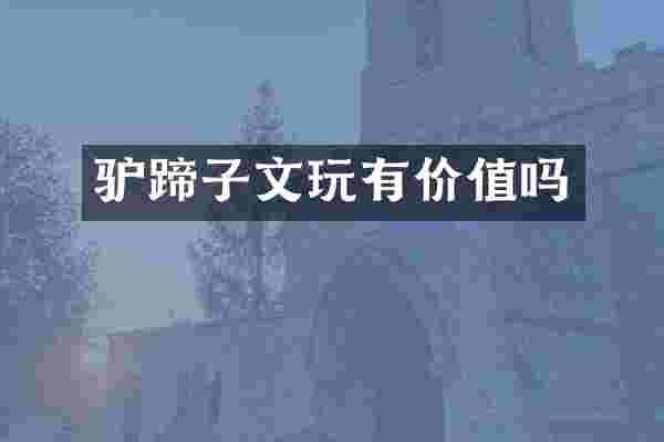 驴蹄子文玩有价值吗