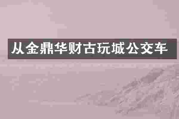 从金鼎华财古玩城公交车