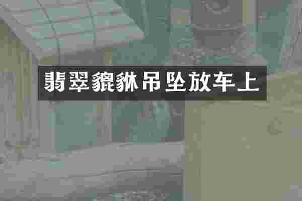翡翠貔貅吊坠放车上