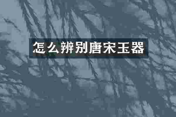 怎么辨别唐宋玉器