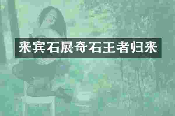 来宾石展奇石王者归来