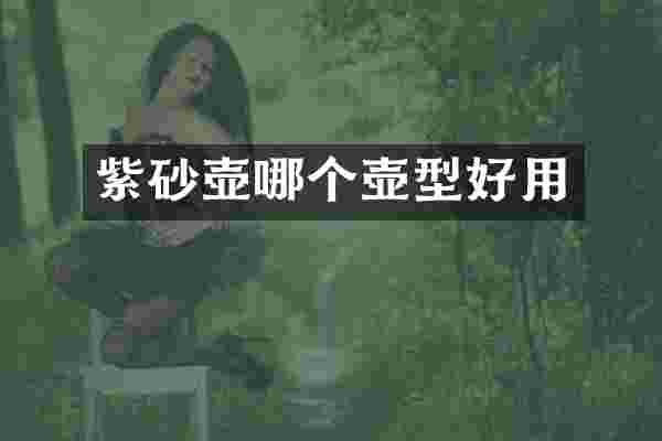 紫砂壶哪个壶型好用