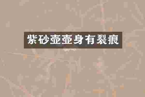 紫砂壶壶身有裂痕