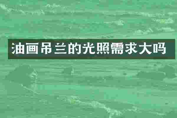 油画吊兰的光照需求大吗