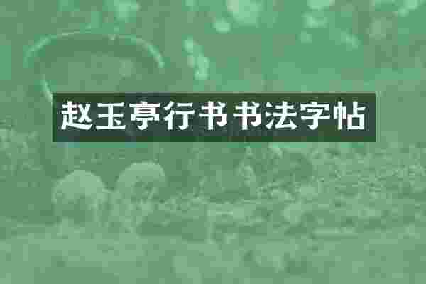 赵玉亭行书书法字帖