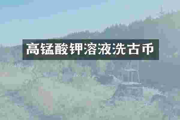 高锰酸钾溶液洗古币