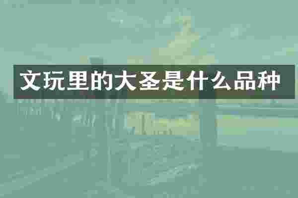 文玩里的大圣是什么品种