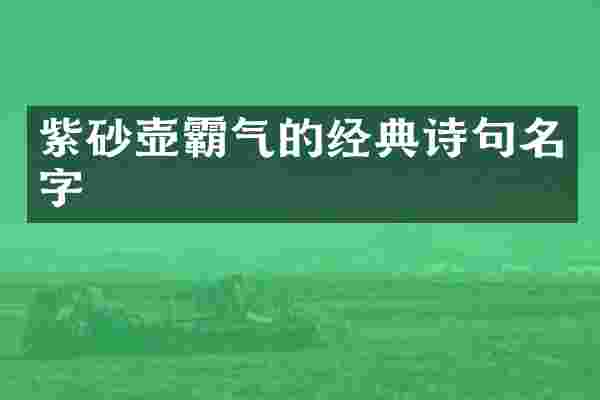紫砂壶霸气的经典诗句名字