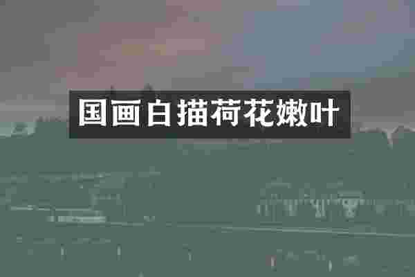 国画白描荷花嫩叶