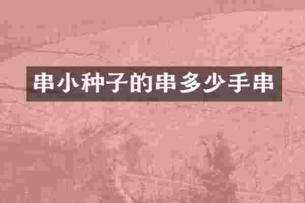 串小种子的串多少手串
