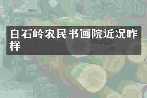 白石岭农民书画院近况咋样