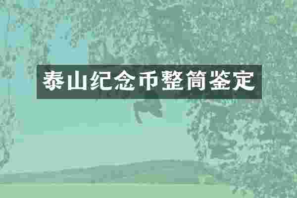 泰山纪念币整筒鉴定