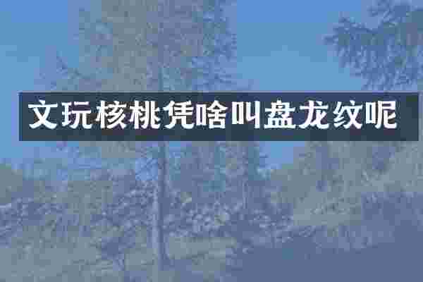 文玩核桃凭啥叫盘龙纹呢