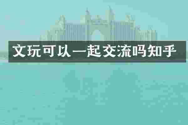 文玩可以一起交流吗知乎
